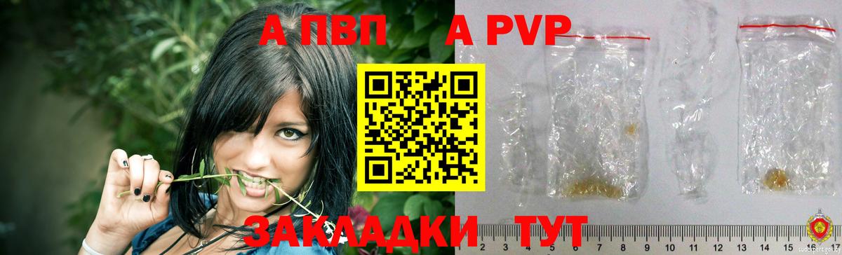 Кудымкар  Альфа ПВП СК  А ПВП  A PVP крисы CK  Вход с VPN 