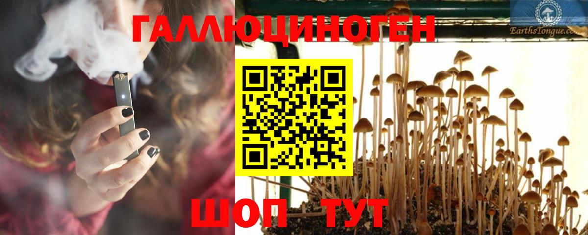 Кудымкар  Псилоцибиновые грибы Psilocybine cubensis  Вход с VPN  Псилоцибиновые грибы MAGIC MUSHROOMS 